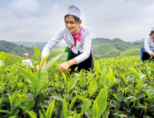 Family Farm Schools Are Improving The Philippines’ Agricultural Productivity